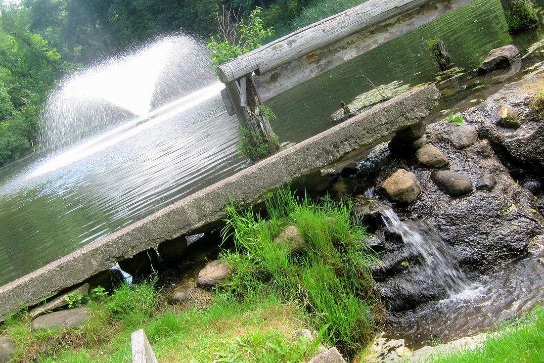Spray and Fall