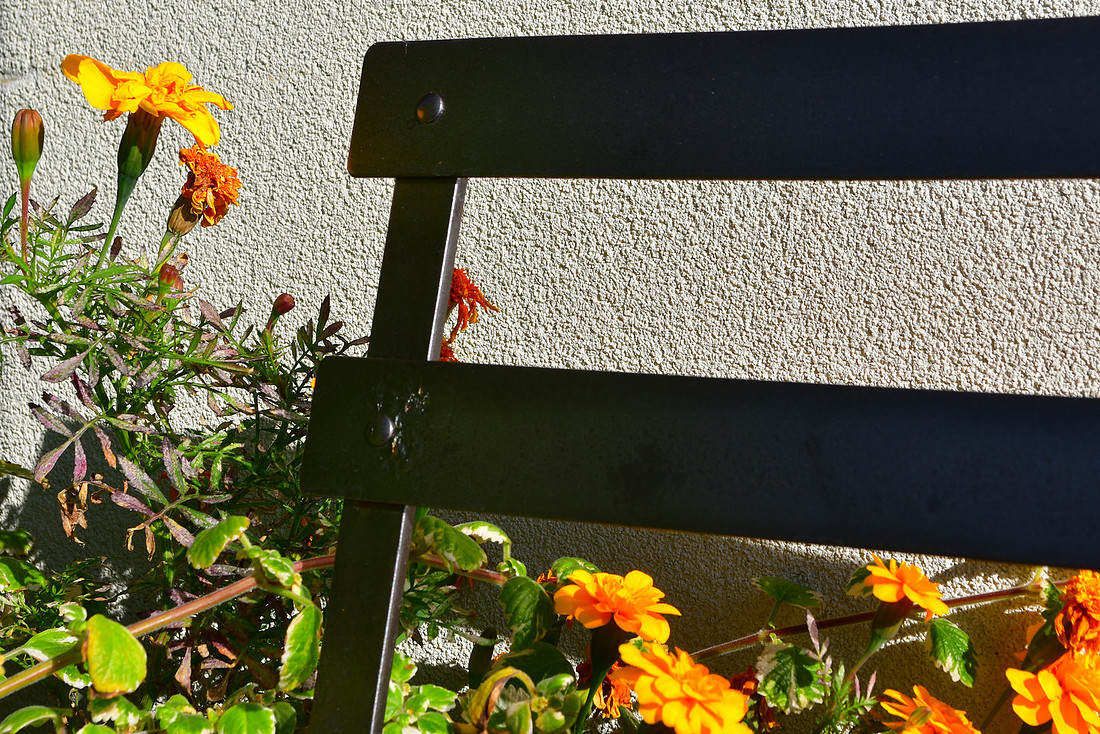 Flower Chair