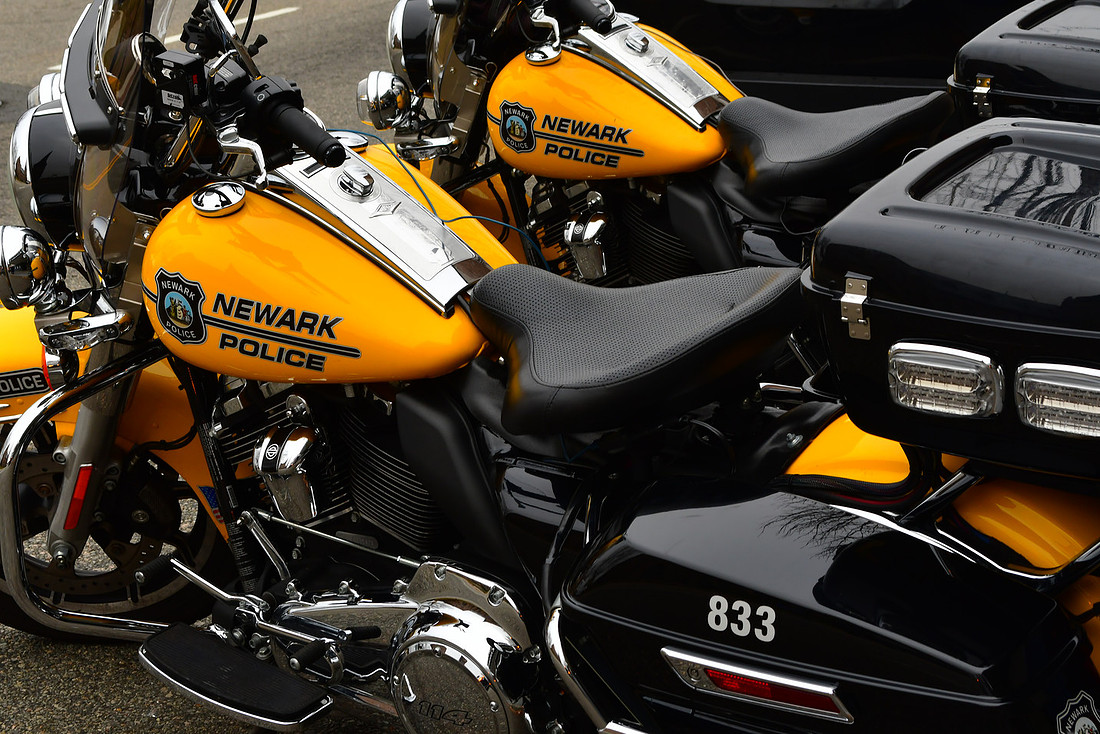 A Brace of Harleys