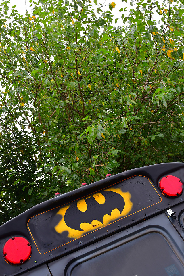 Bat-Signal