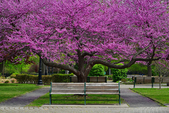 Spring Spread