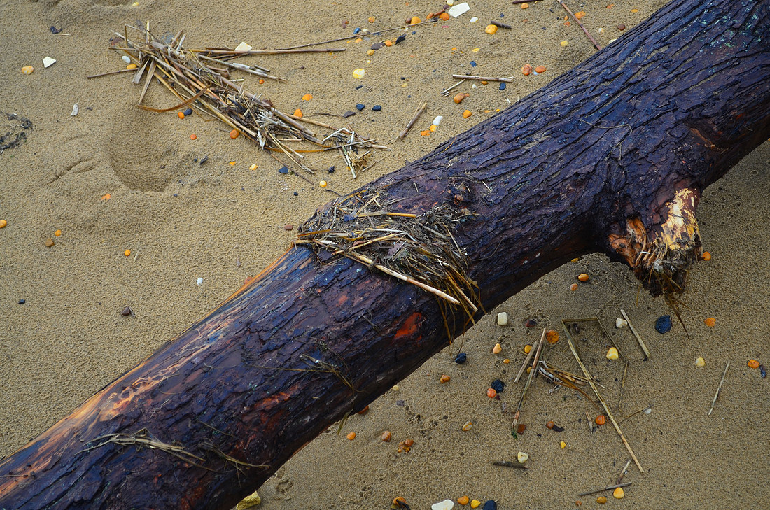 Drift Tree