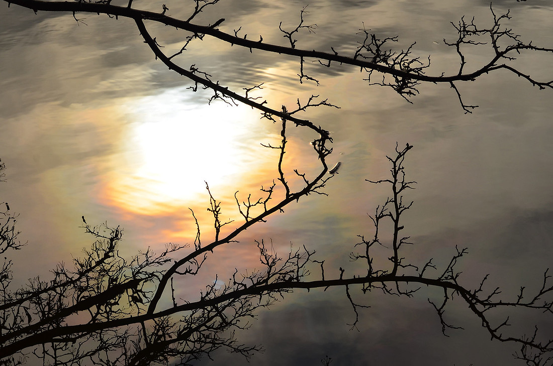 Reflection