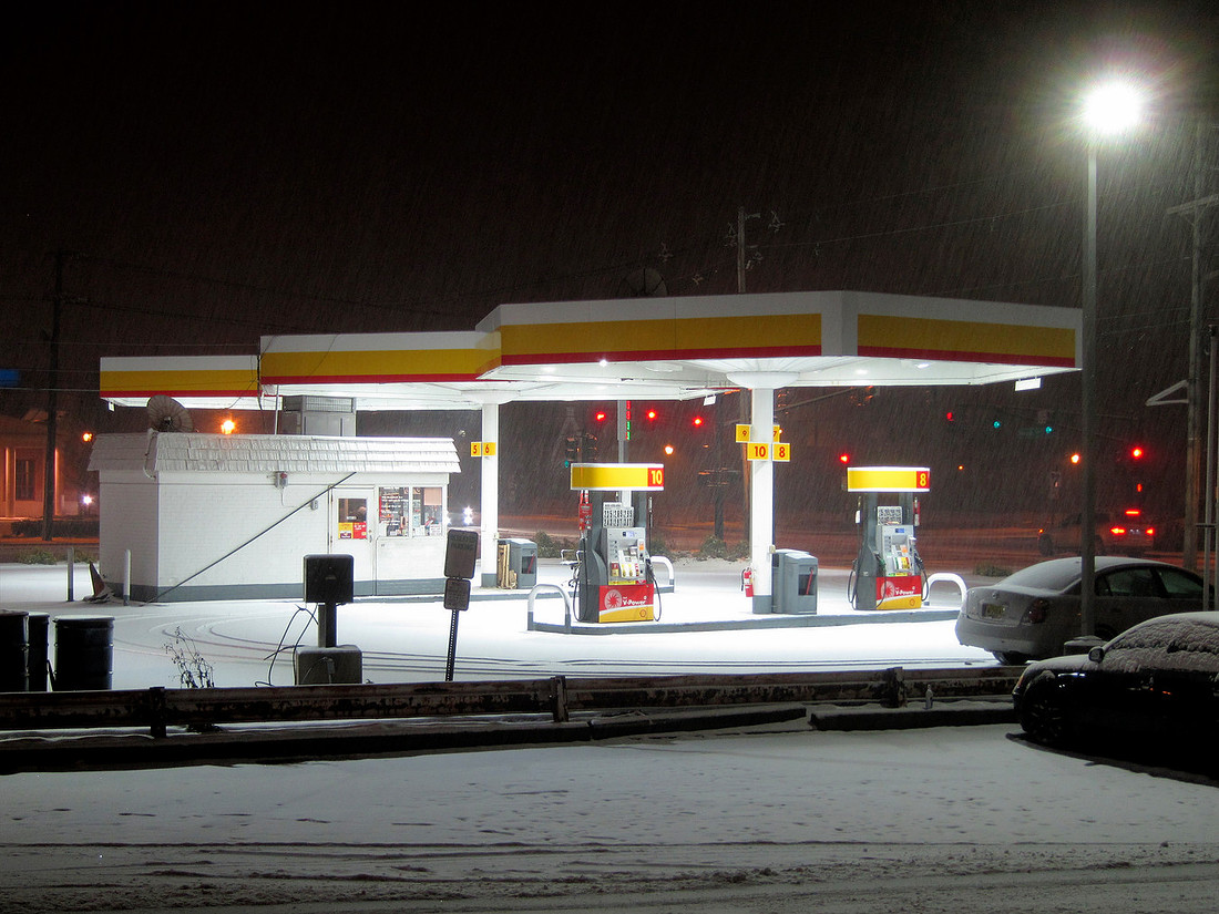 Snowy Oasis