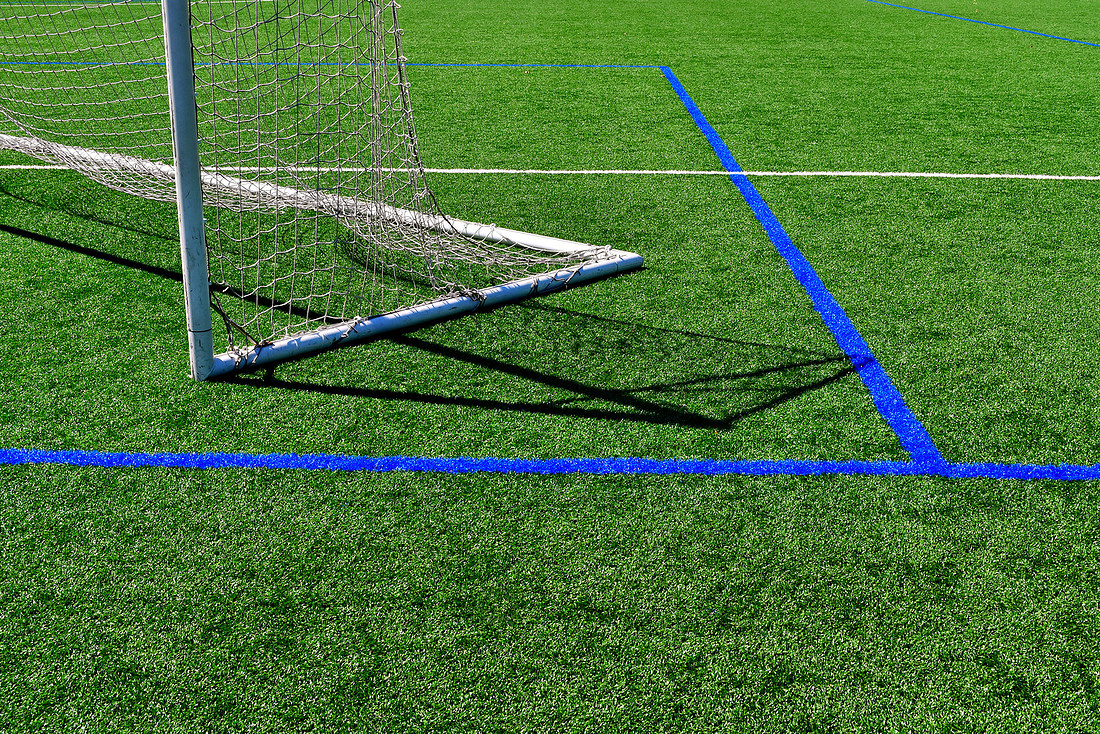 Net and Lines