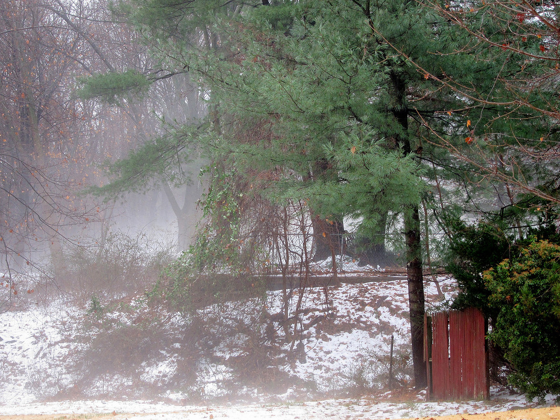 Foggy Fence