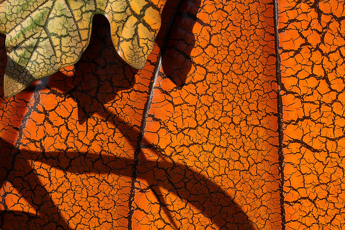 Crackle