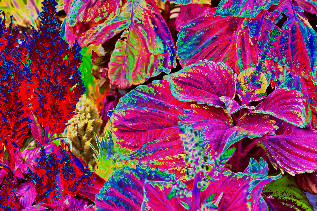Abstract Fall