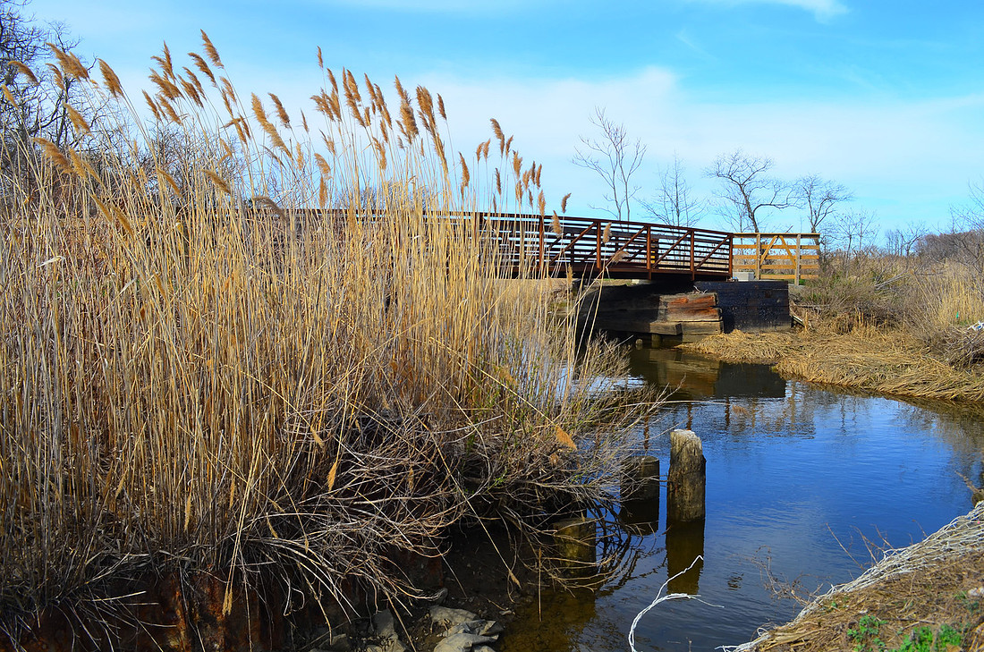 Bridge
