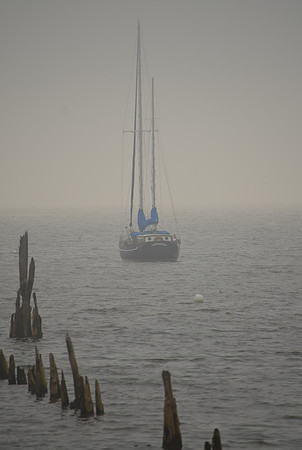 Fog