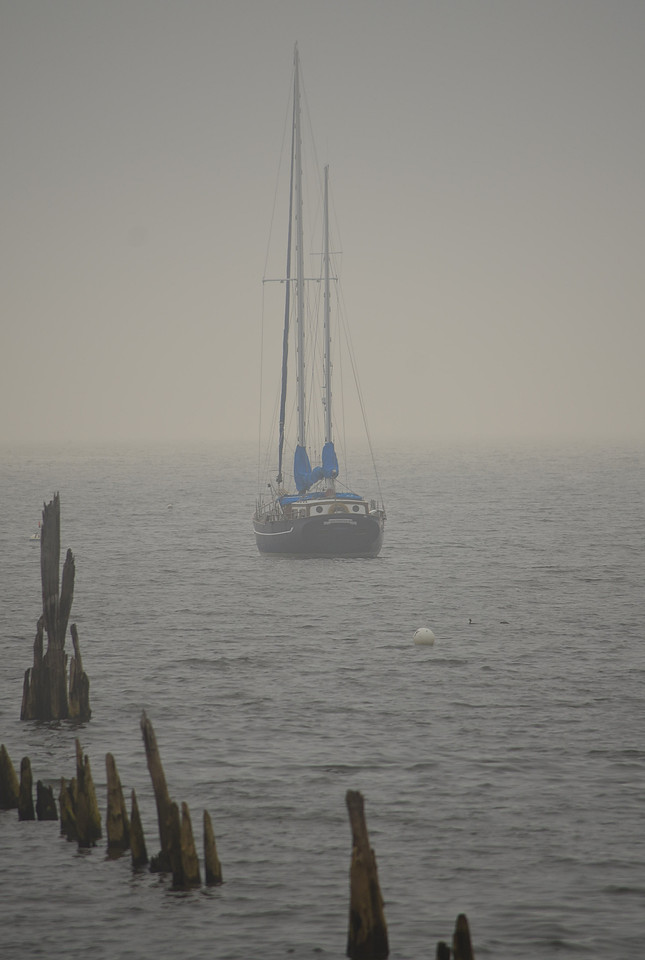 Fog
