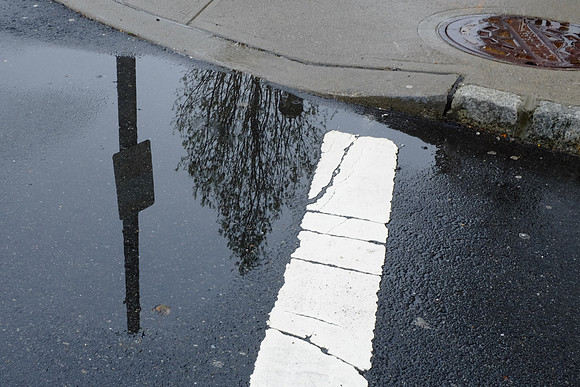 White Line Reflection