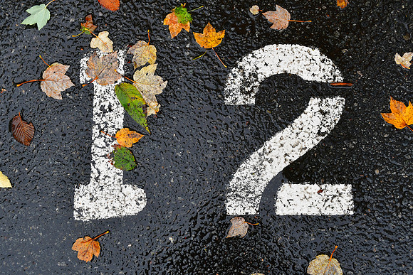 Leafy 12