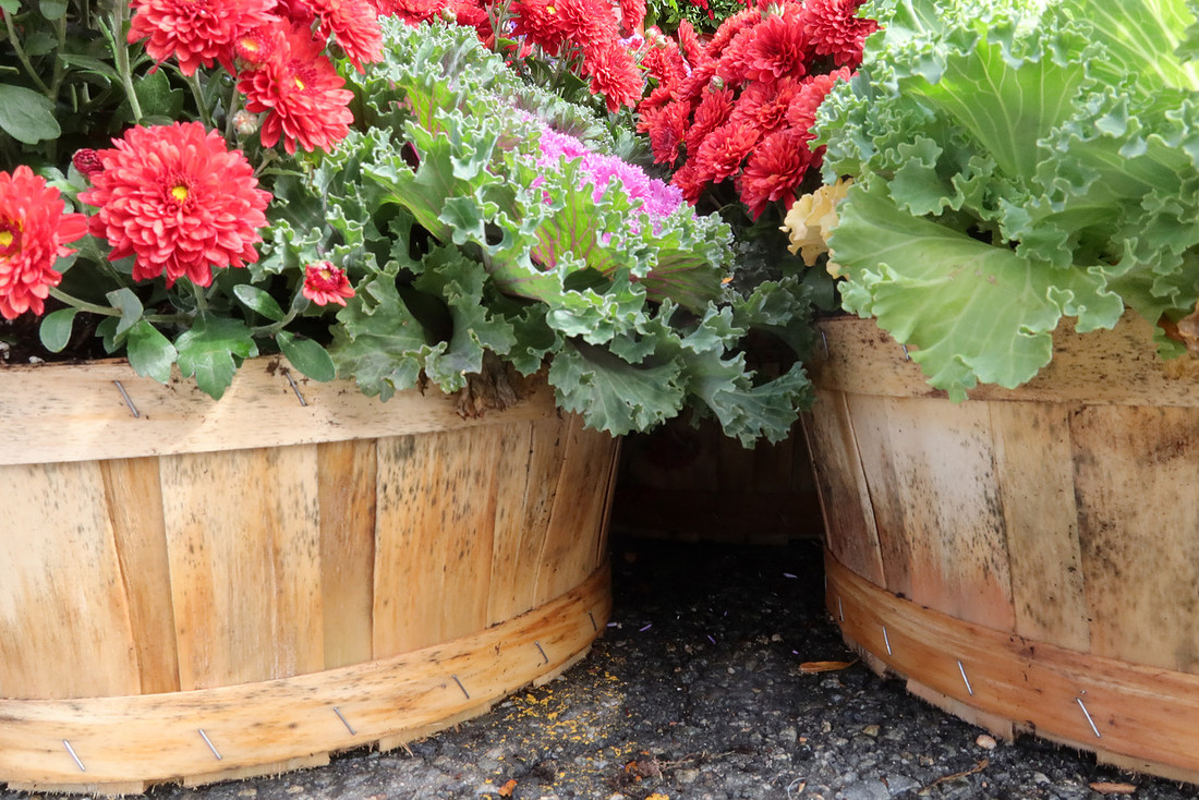 Bushel of Fall
