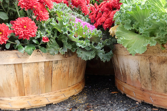 Bushel of Fall