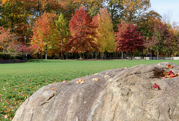 Fall Rock