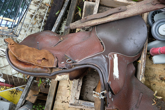 Saddle