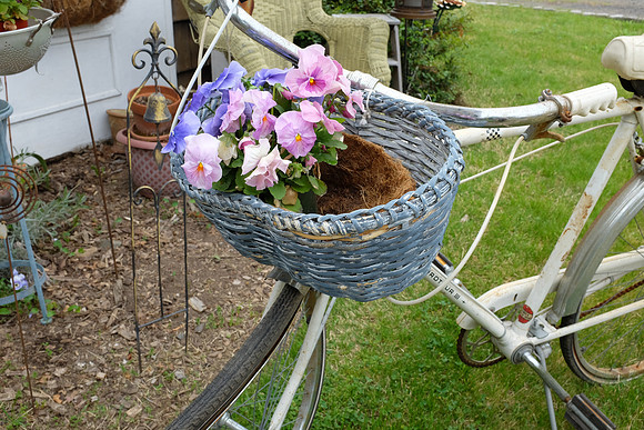 Basket