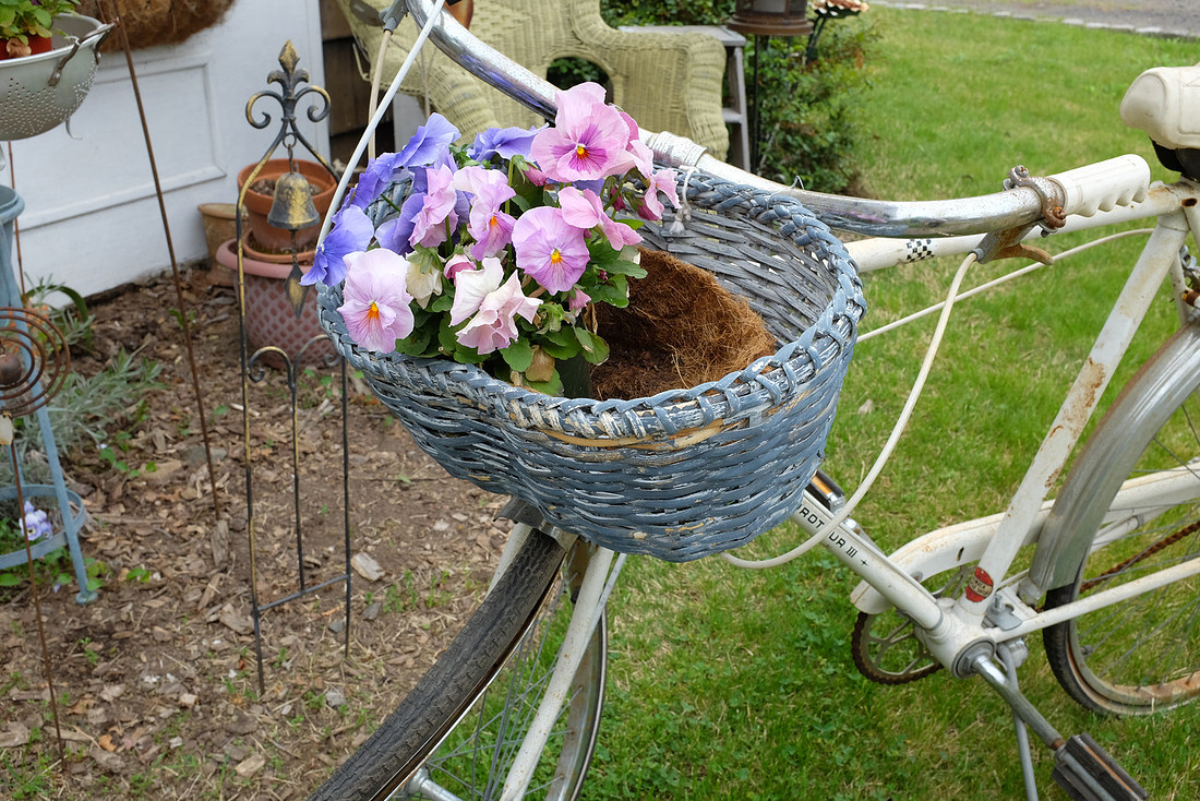 Basket