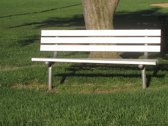 Shiny Bench