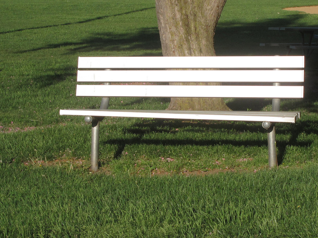 Shiny Bench