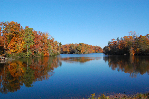 Virginia Reflections