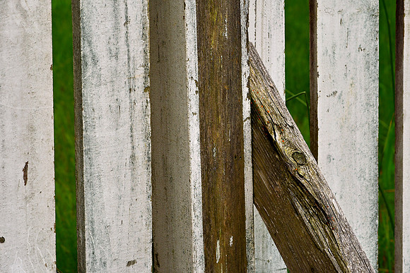 Picket Fence