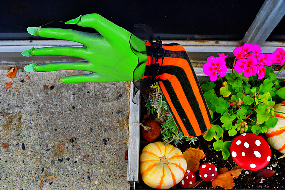 Green Hand