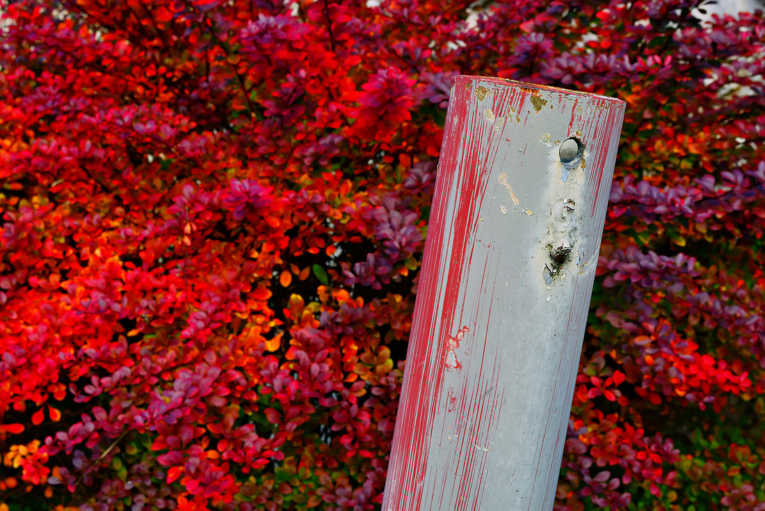 Stanchion