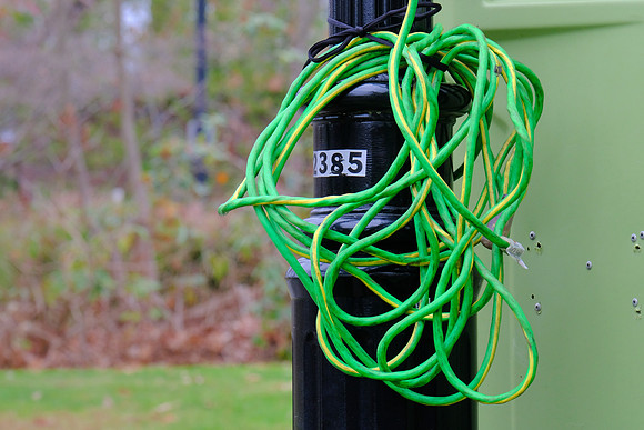Green Tangle 2385