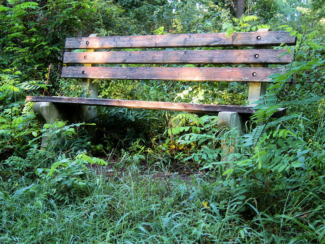 Morning Bench