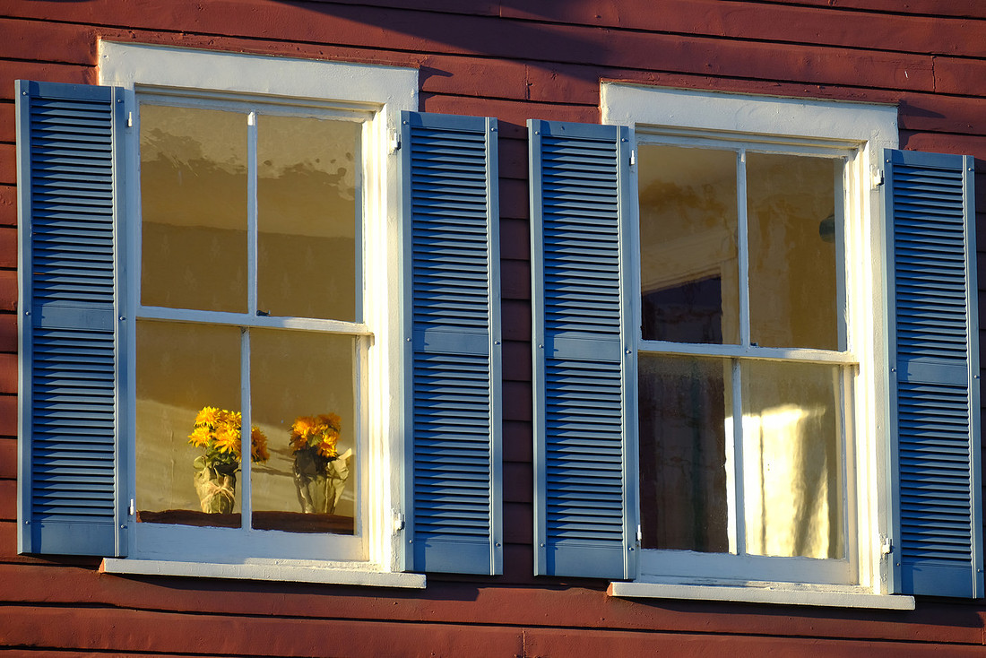 Window Flowers