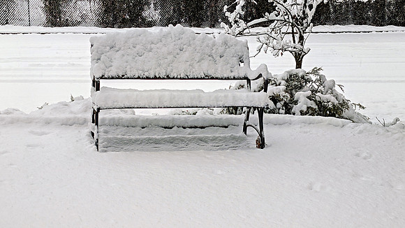 Snowy Bench