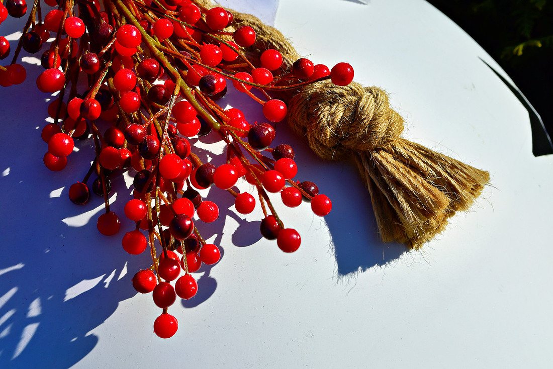 Red and Rope