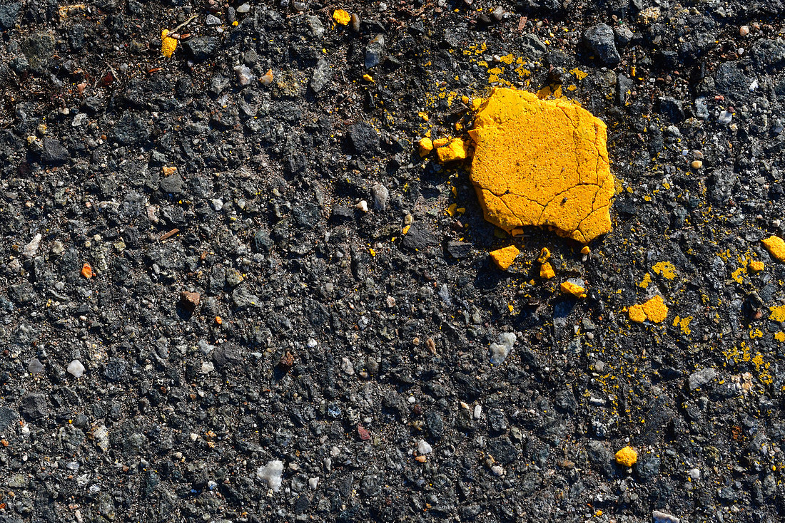 Yellow Crumble