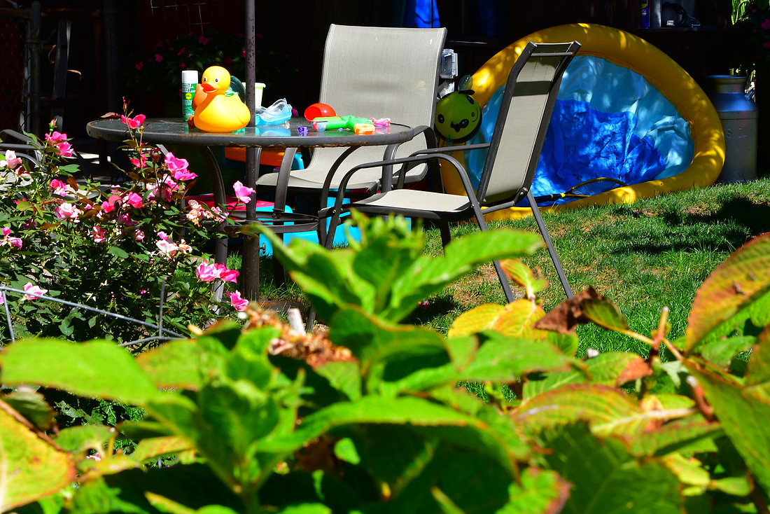 Ducky Oasis