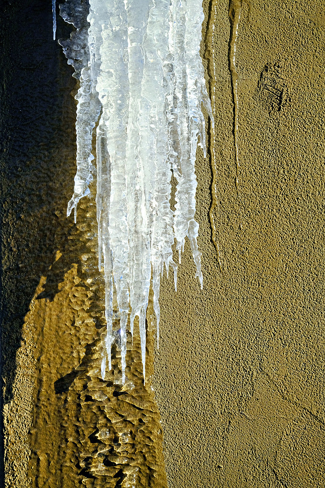 Sunny and Cold