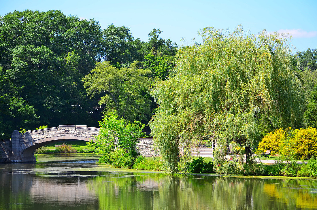 Bridge and Willow