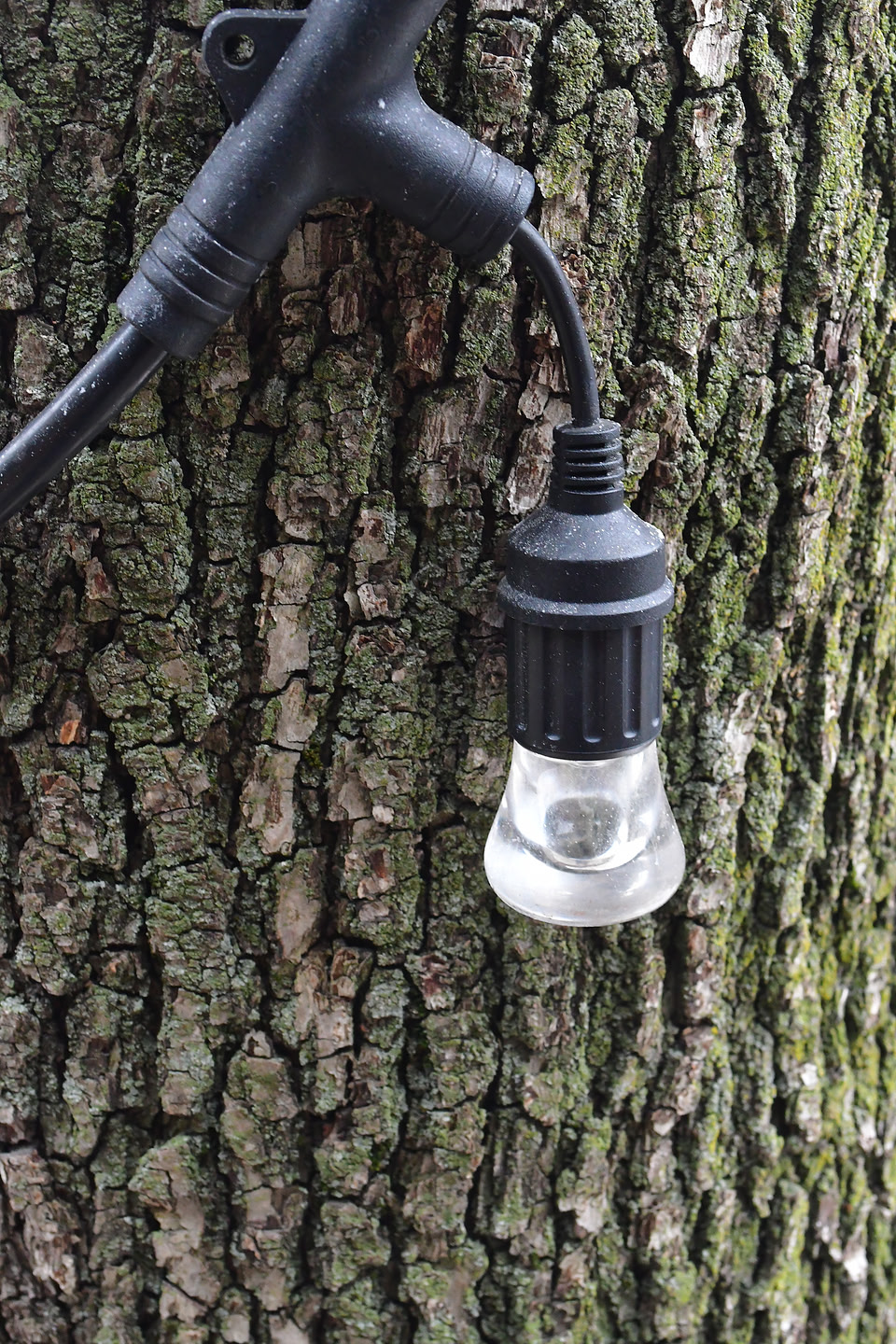 Tree Light