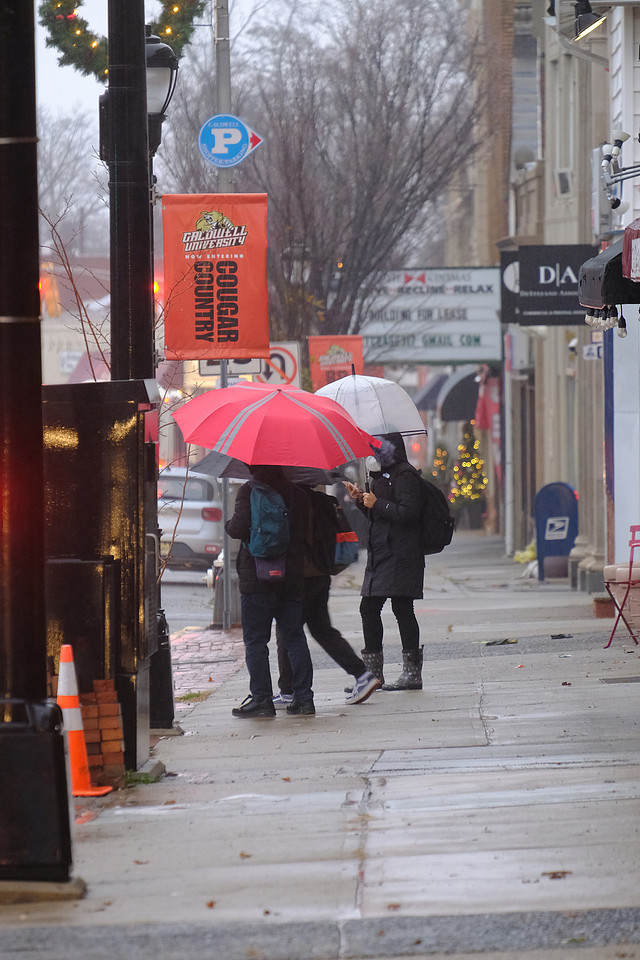 Umbrella Morning