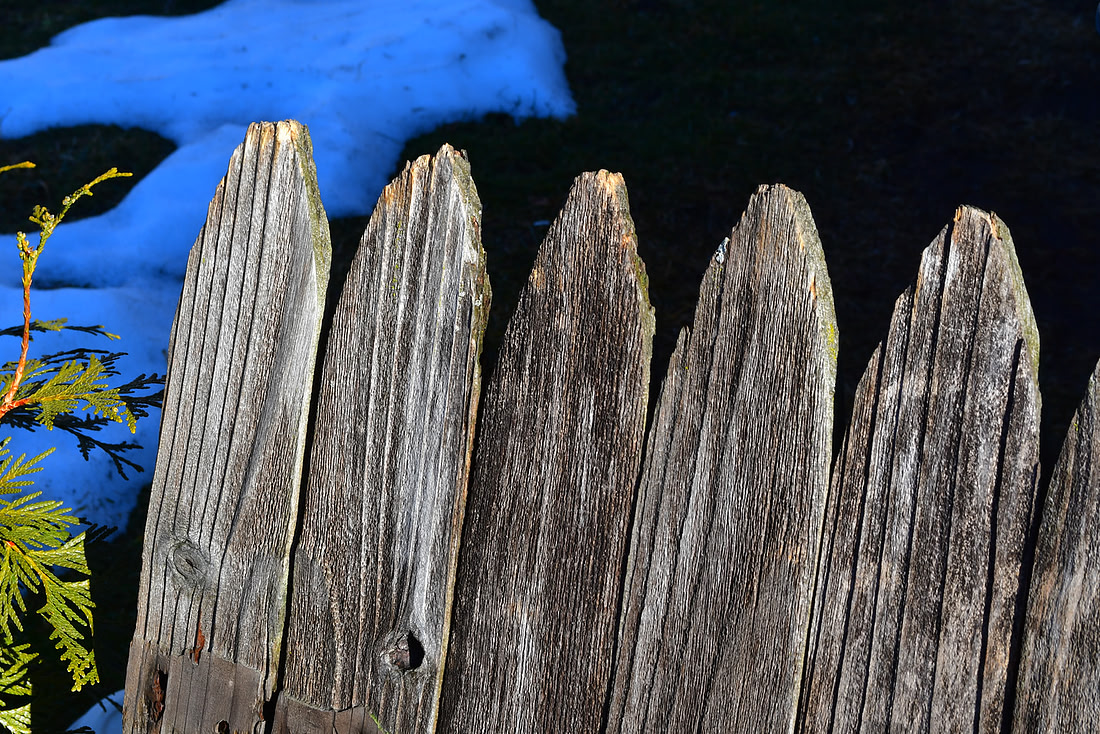 Rough Fence