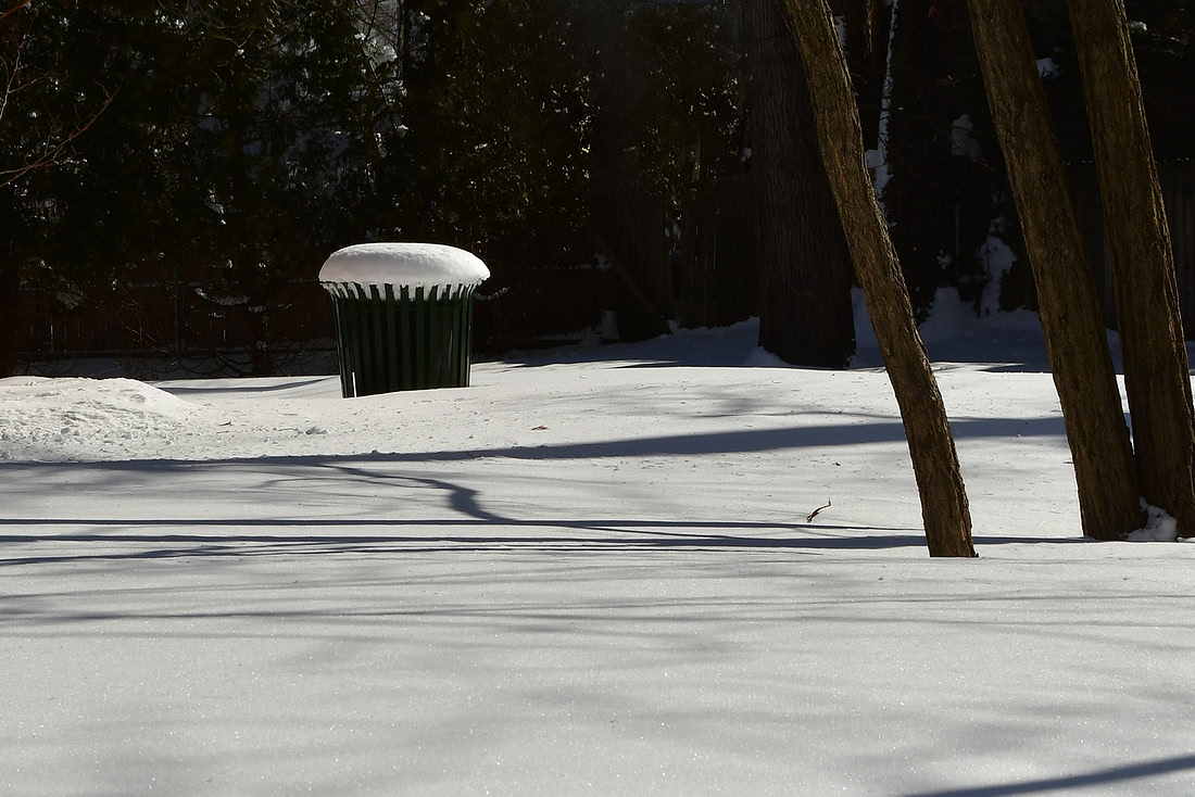 Snow Scene