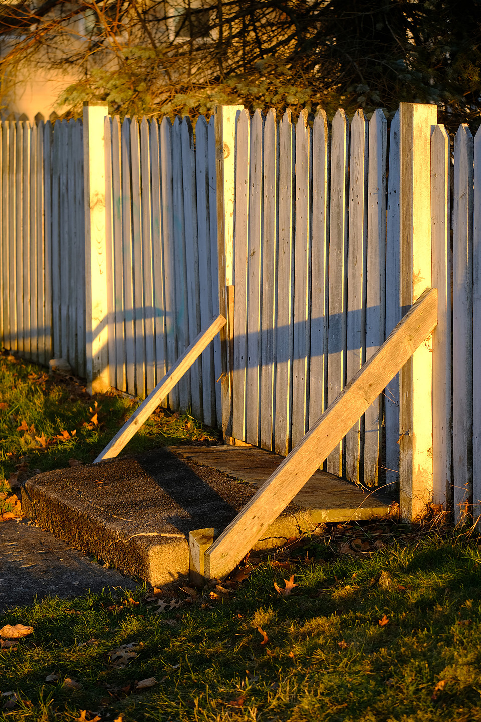 Braced