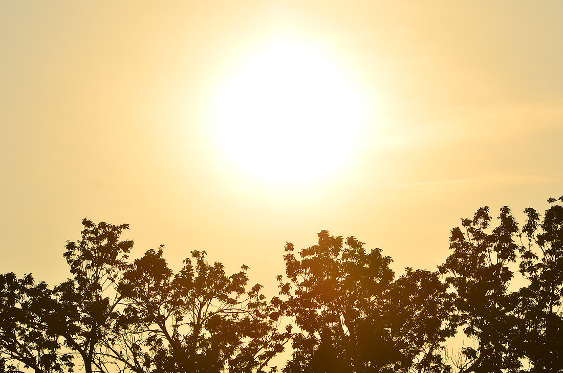 Sol