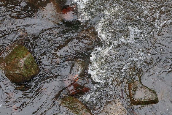 Dark Waters