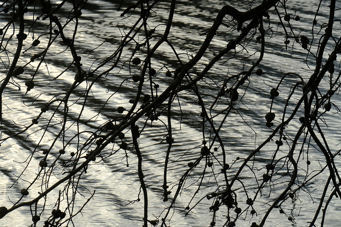 Criss Cross