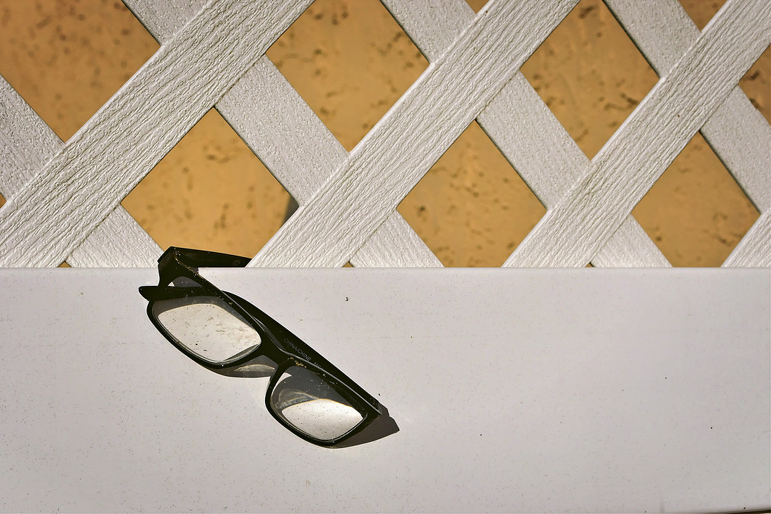 Fence Glasses