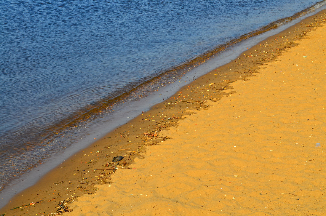 Ripple