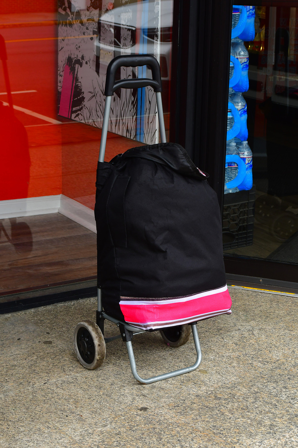 Wheeled Bag