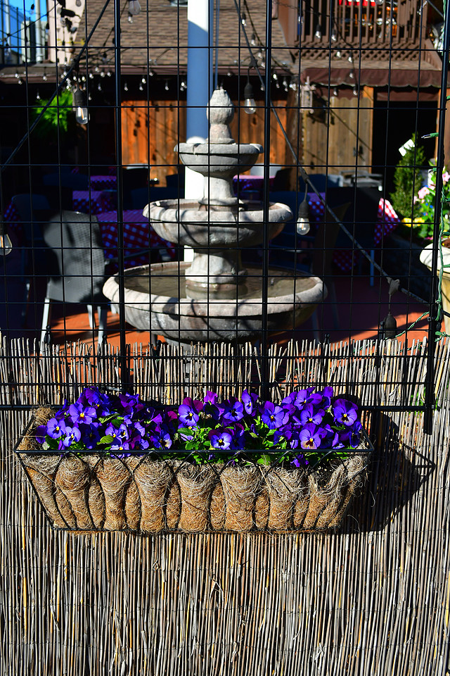 Flower Box